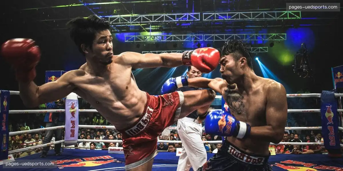 实时赛事更新 提供最新市场洞察